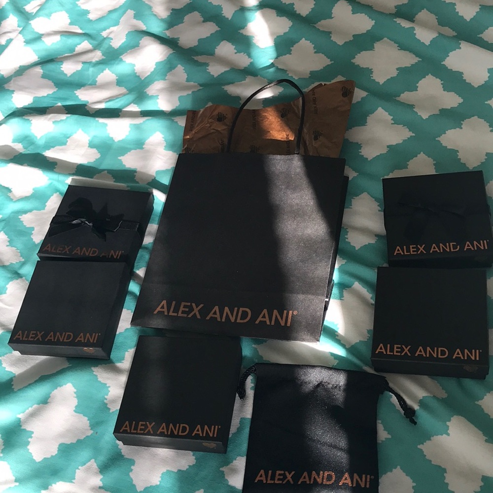 Authentic Alex and Ani Box Gift Set